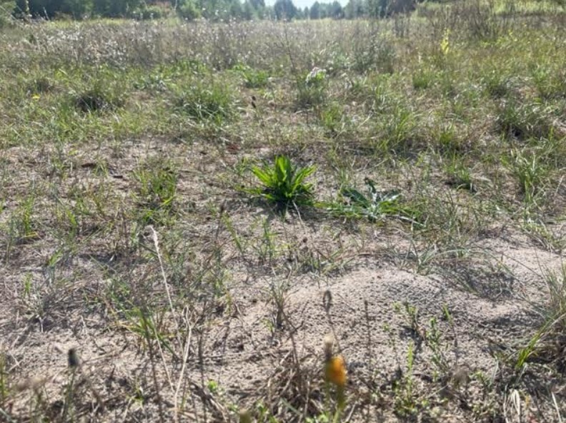 Działka budowlana o pow. 2047 m2 przy lesie. miniaturka 3