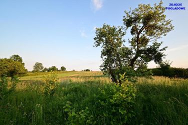 Działka doskonała pod inwestycję - Nałęczów - 14ar