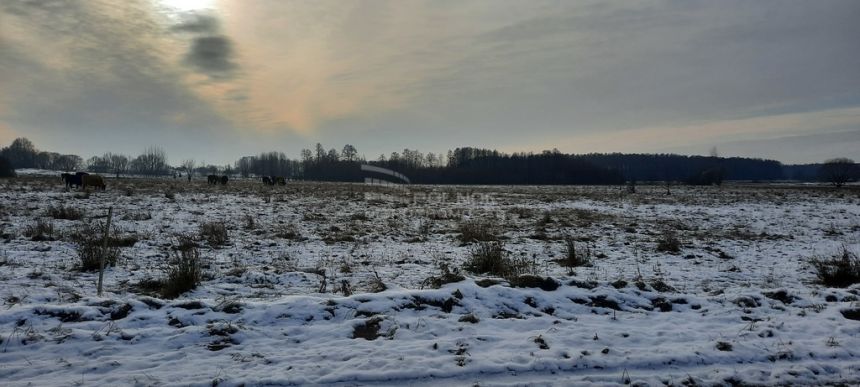 Kolonia Mieleszki. Działki o pow. 3003 m2 miniaturka 6