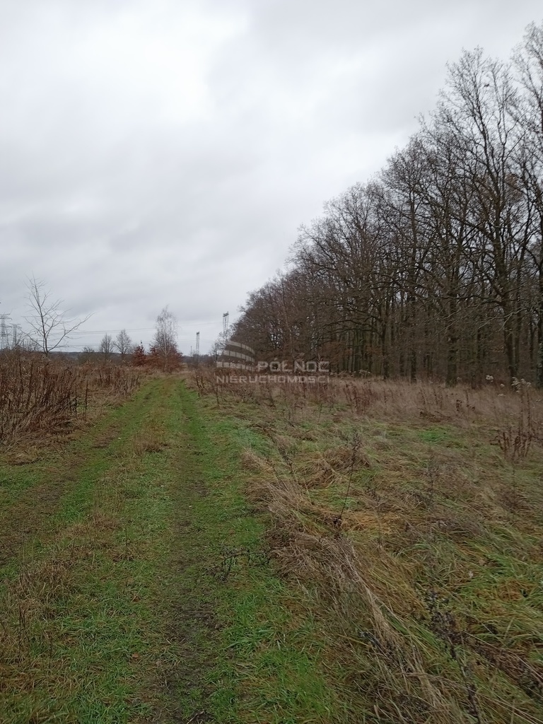 Działka budowlana 0,87 ha granicząca z Parkiem. miniaturka 3