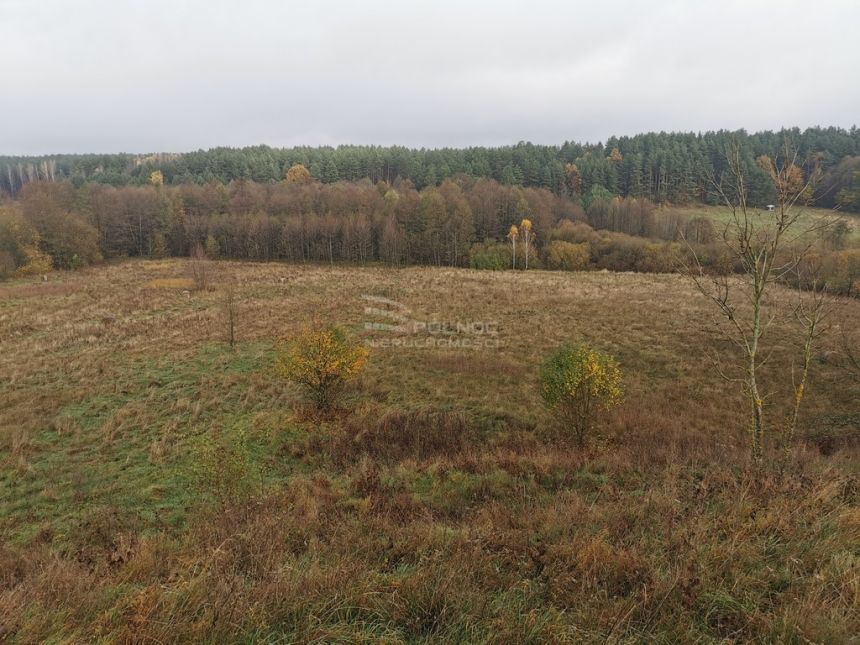 Działki Budowlane w Otulinie Puszczy Knyszyńskiej miniaturka 9