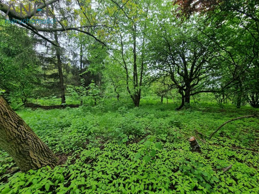 Działka inwestycyjna 2572m2 z domem 262m2 miniaturka 9
