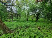 Działka inwestycyjna 2572m2 z domem 262m2 miniaturka 9