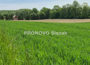 Działka budowlana w Borkowicach, blisko Obornik Ś miniaturka 6