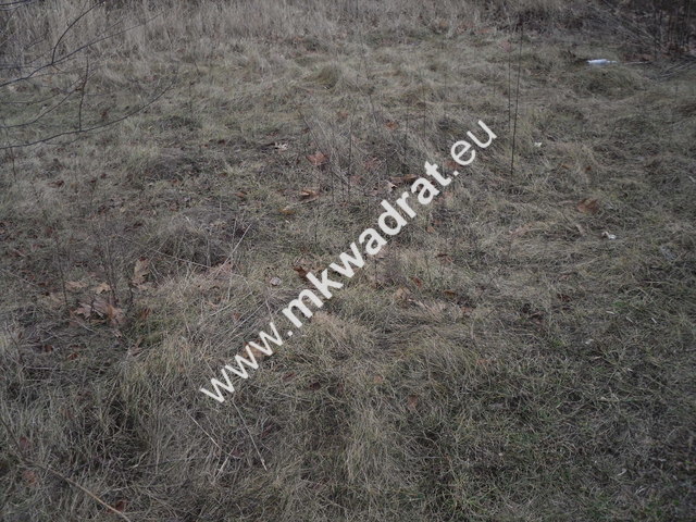 Pęcice działka w atrakcyjnym miejscu 10.500 m2 miniaturka 9