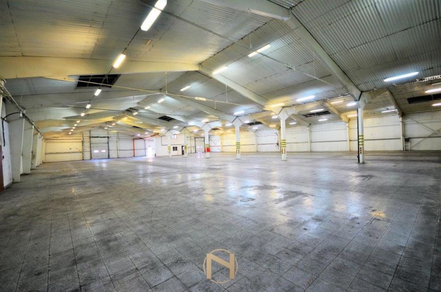 Gorzów Wielkopolski Górczyn, 38 000 zł, 1760 m2, parter miniaturka 13