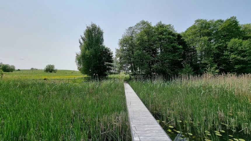 Działka rolna linia brzegowa Jez. Krzywe Mazury miniaturka 11