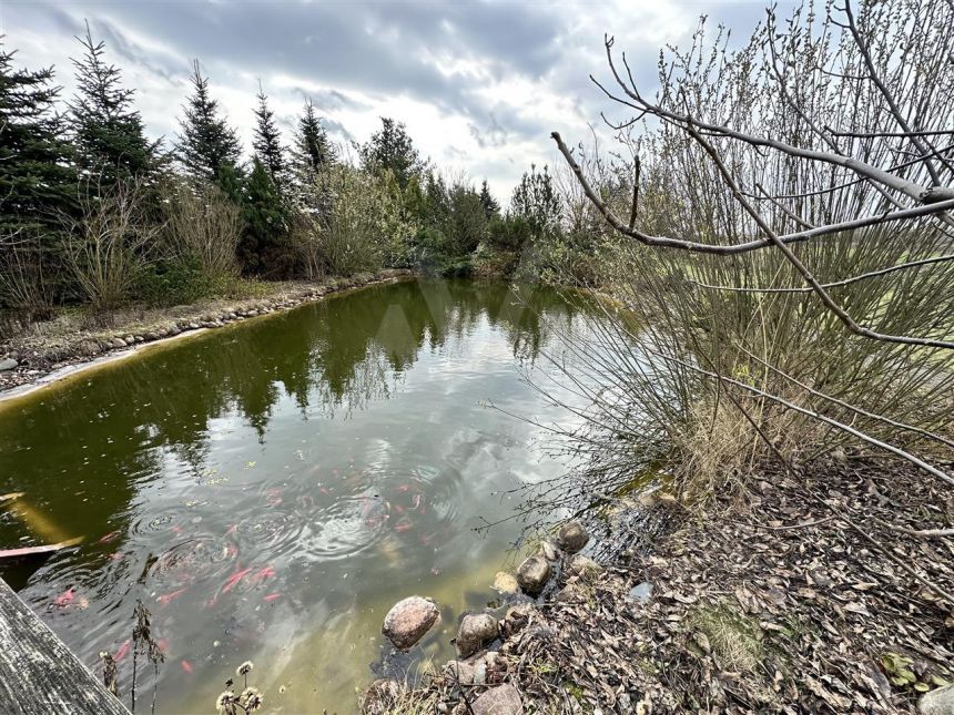 Dom 250m 2,5 km do PKP Grodzisk miniaturka 4