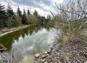 Dom 250m 2,5 km do PKP Grodzisk miniaturka 4