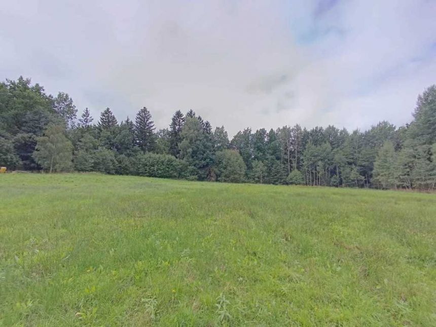 Działki w Rębiszowie 7300 m2 miniaturka 3