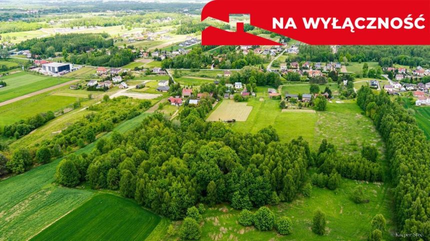 Działka rolno-budowlana- Skrzyszów miniaturka 2