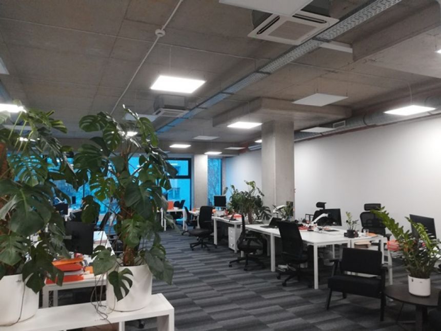 Wrocław Stare Miasto 3 532 zł 78.5 m2 miniaturka 4