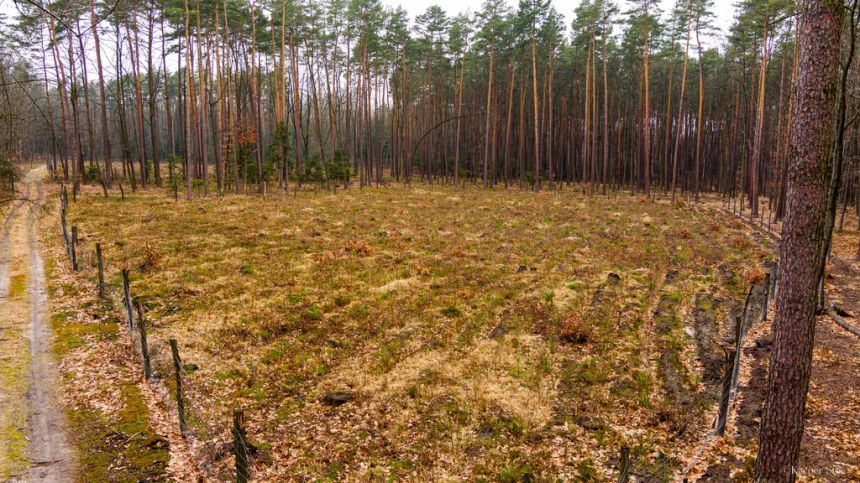 Działka budowlana w msc. Czarna- Powiat Dębicki - zdjęcie 1