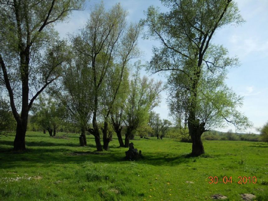 Kazimierz Dolny, 3 500 zł, 93.48 ha, bez prowizji miniaturka 16