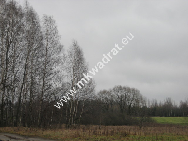 Radziejowice 31.900m2 przemysłowo-usługowa - zdjęcie 1