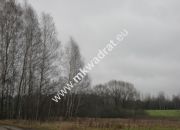 Radziejowice 31.900m2 przemysłowo-usługowa miniaturka 1