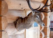 Piękny dom z bali z widokiem na Tatry - Gronków miniaturka 15