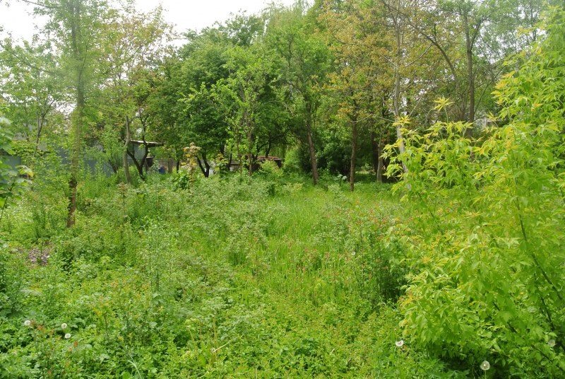 Działka 3130 m2 Piaski miniaturka 3