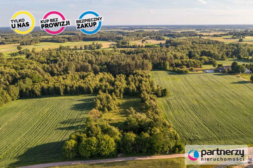 Nowy Wiec, 250 000 zł, 2.29 ha, przyłącze prądu miniaturka 2