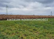 Basin, 670 000 zł, 1.67 ha, przyłącze elektryczne miniaturka 2