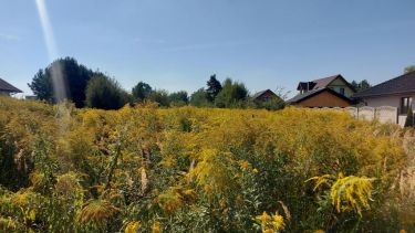 Zendek, 264 000 zł, 22 ar, budowlana