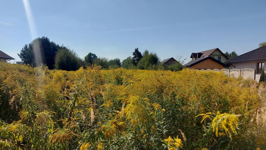 Zendek, 264 000 zł, 22 ar, budowlana - zdjęcie 1