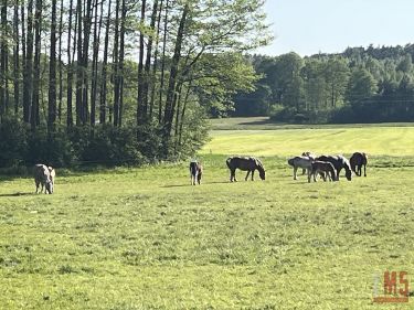 Czaplino, 2 300 000 zł, 2.3 ha, rolna