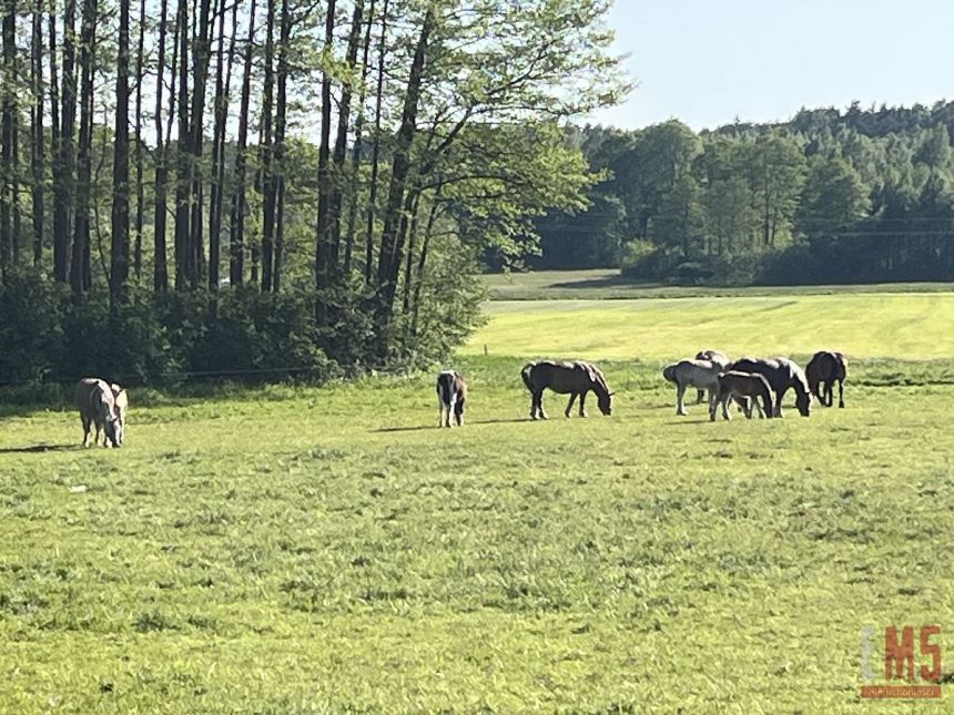 Czaplino, 2 300 000 zł, 2.3 ha, rolna - zdjęcie 1