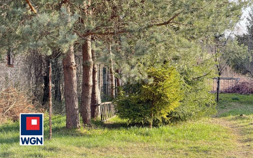 Chruszczobród, 549 000 zł, 140 m2, jednorodzinny miniaturka 13