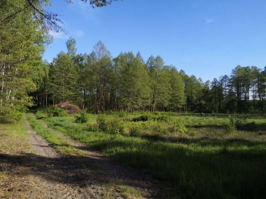 Działka pod zabudowę pensjonatową w Karwicy - zdjęcie 1