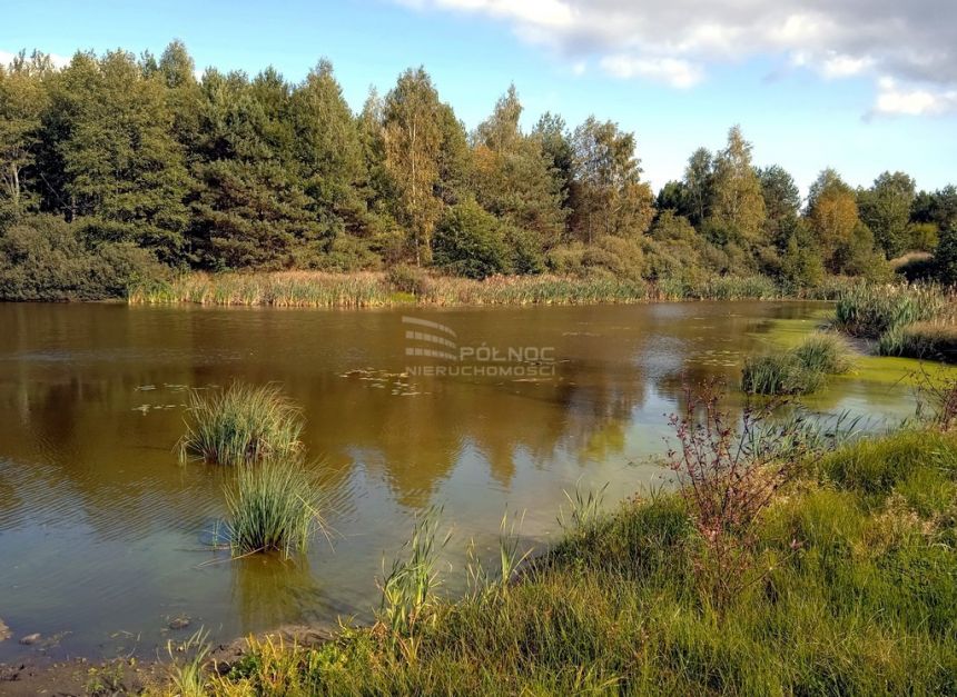 Grzegrzółki - działka z WZ i linią brzegową miniaturka 9