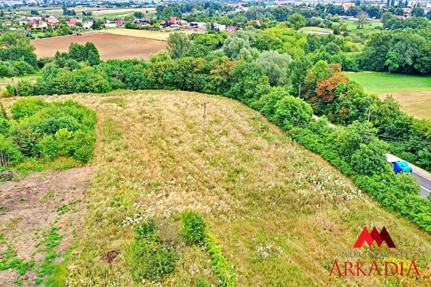 Atrakcyjna działka pod inwestycje Falborek/Brześć miniaturka 8