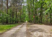 Pieczyska, 185 000 zł, 21.5 ar, przyłącze prądu miniaturka 8