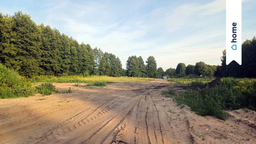 Urokliwa Działka w Kopaninie koło Torunia miniaturka 4