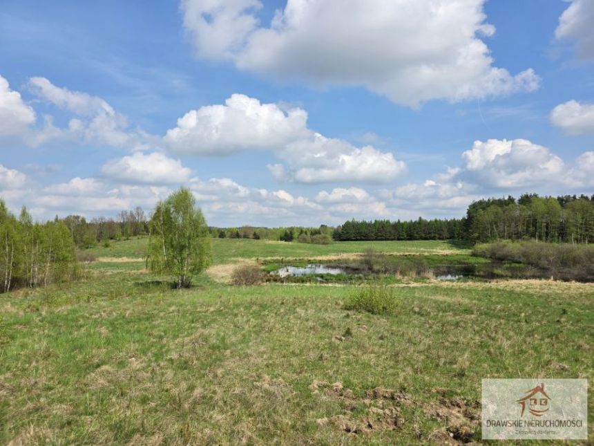 Rzepowo, 495 000 zł, 3.15 ha, rolna miniaturka 11
