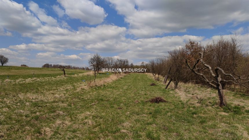 Czułów, 312 000 zł, 1.42 ha, przyłącze elektryczne miniaturka 6