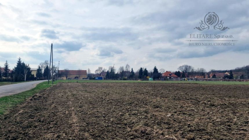 Działka siedliskowa 3000m2 z MPZP gm. Kąty Wrocławskie, Sokolniki miniaturka 5