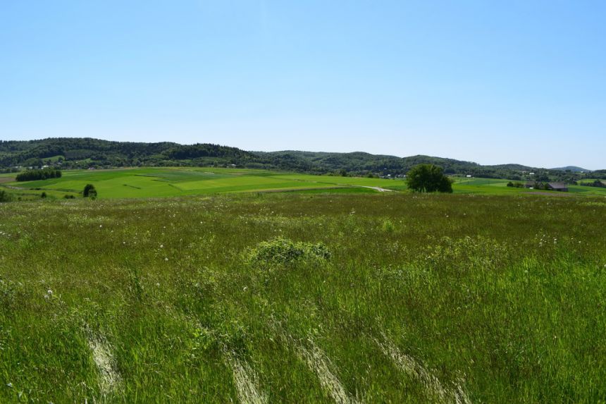 Działki rolne 86a i 112a- Brzeziny miniaturka 9
