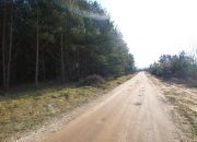 Działka 2197 m2, Niwy Daleszyckie (gm. Daleszyce) miniaturka 14