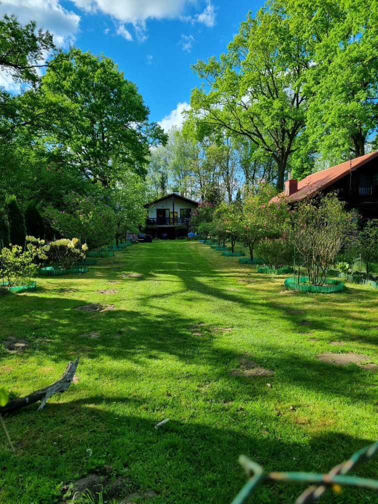 Klimatyczny domek przy Bugu na końcu świata miniaturka 3