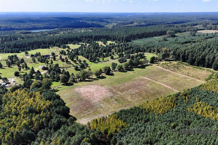 Okolica jeziora Dołgie i kompleksów leśnych. miniaturka 9