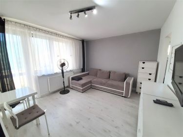 Szczecin Nowe Miasto, 1 500 zł, 27.45 m2, w bloku