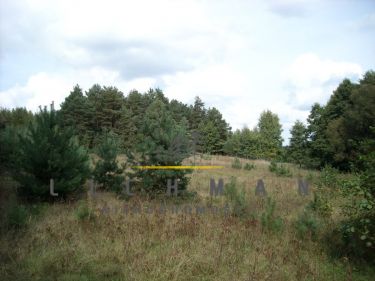 Trojaczek, 391 000 zł, 2.3 ha, rolna