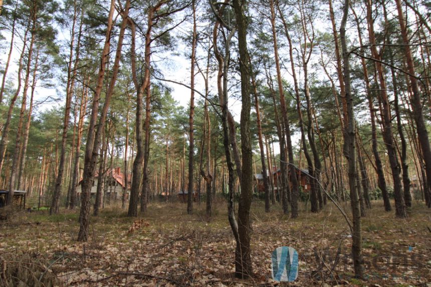 Józefów, 3 200 000 zł, 31.51 ar, przyłącze prądu miniaturka 4