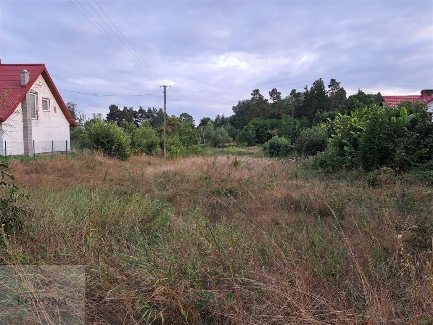 Działka w Rożyńsku Wielkim o powierzchni 2887 m2 miniaturka 4