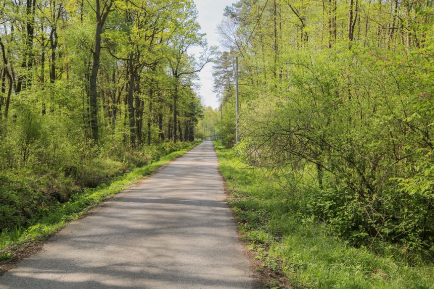 4 działki rolno-budowlane- Bielcza- Małopolska miniaturka 12