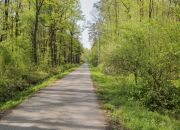 4 działki rolno-budowlane- Bielcza- Małopolska miniaturka 12