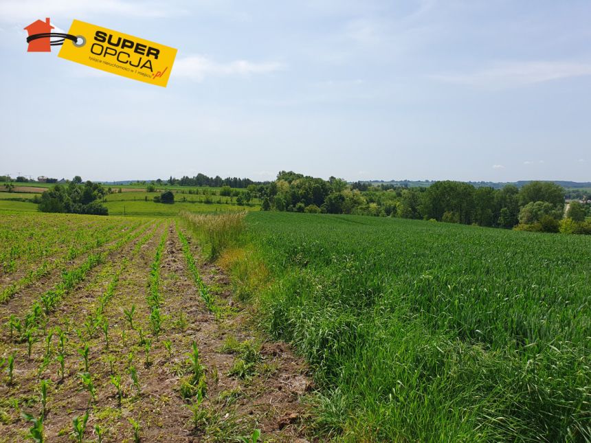 Szczepanowice, 649 000 zł, 53.3 ar, rolna miniaturka 10