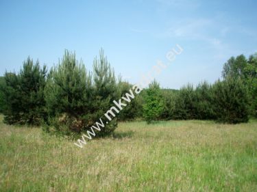 Radziejowice-Parcel, 660 000 zł, 38.99 ar, prostokątna