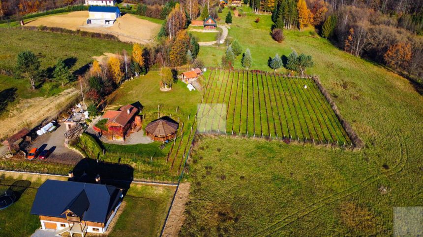 Klimatyczna winnica na pograniczu Bieszczad miniaturka 2